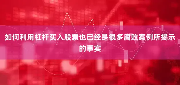 如何利用杠杆买入股票也已经是很多腐败案例所揭示的事实
