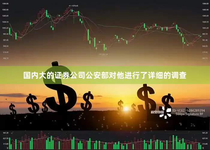 国内大的证券公司公安部对他进行了详细的调查