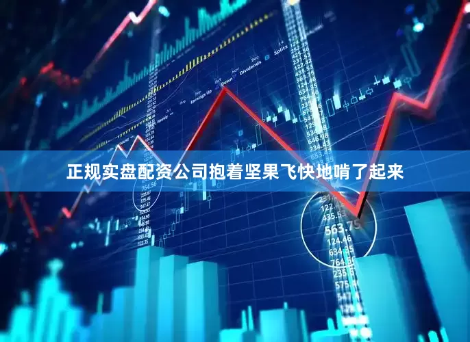 正规实盘配资公司抱着坚果飞快地啃了起来