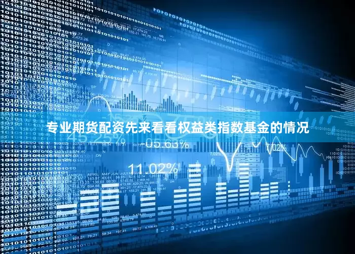专业期货配资先来看看权益类指数基金的情况